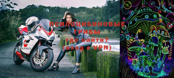 соль ск Вяземский