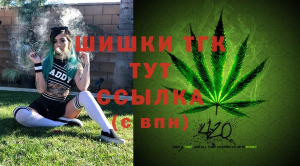 прущие крисы Вязники