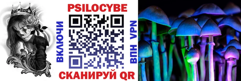 Псилоцибиновые грибы MAGIC MUSHROOMS  Купить закладки  Козьмодемьянск 